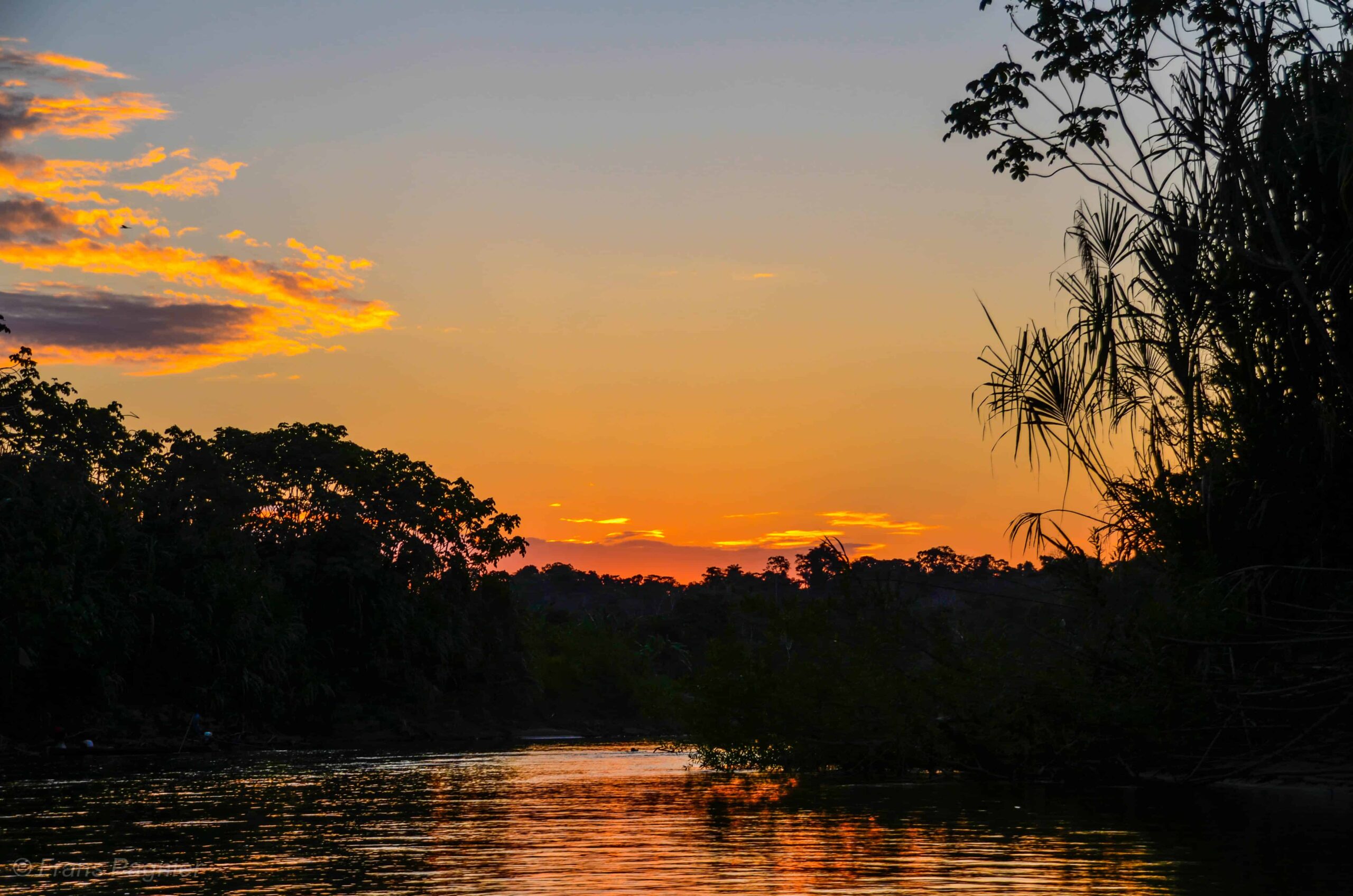 Sacred Connection Sacred Snuff TI Yawanawá Gregorio River