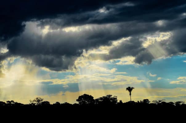 Magical skies over the pristine forest of the upper Juruá region.