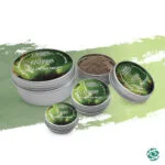 Katukina Lady of the Night Rapé – Cactus & Murici Snuff