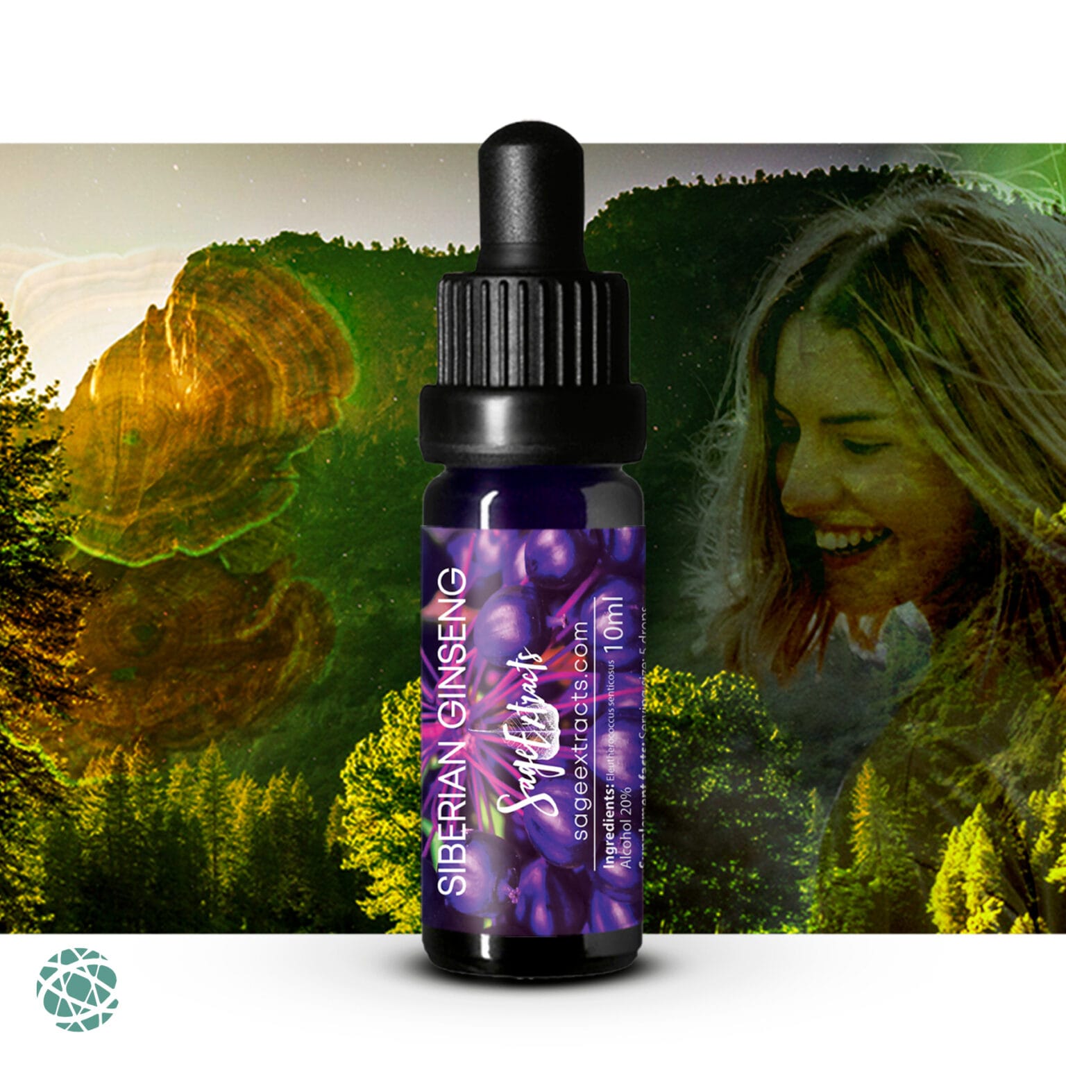 Salbeiextrakte | Sibirischer Ginseng TPA-Extrakt | Sacred Connection