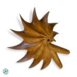 Kuripe - Fibonacci - Tropical Hard Wood Kuripe, Hand Cut from Bali